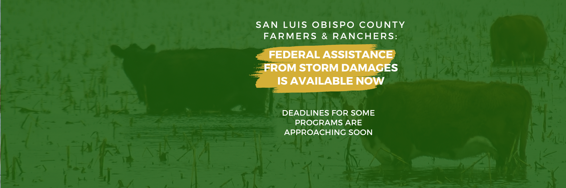 San Luis Obispo County Farm Bureau - Home Page
